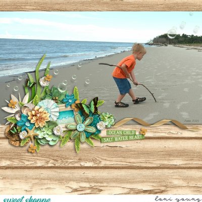 Sand Scribe