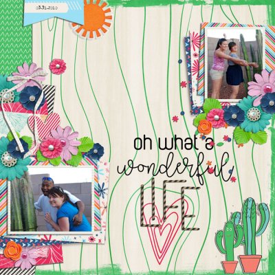 wonderful life