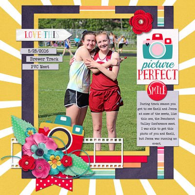Picture Perfect