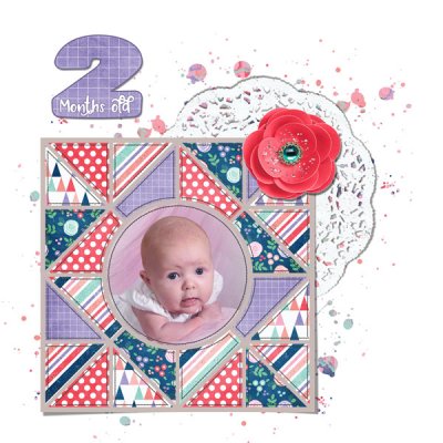 2 Months Old