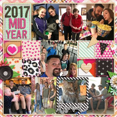 2017 Mid Year Review