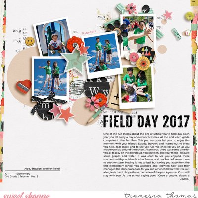 Field Day 2017