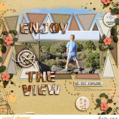 Enjoy the View