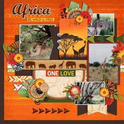 wild africa