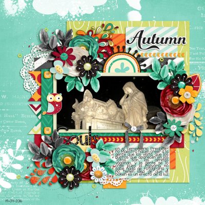 # photo bokeh