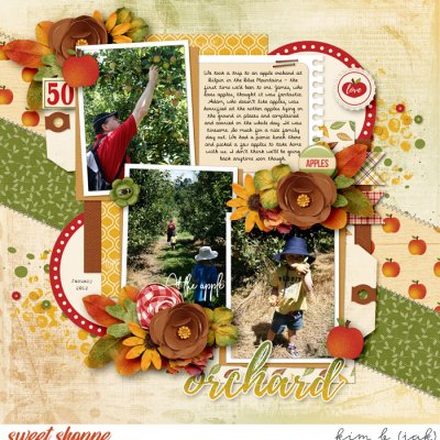 At The Apple Orchard
