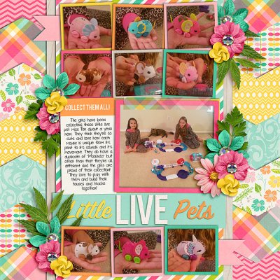 Little Live Pets