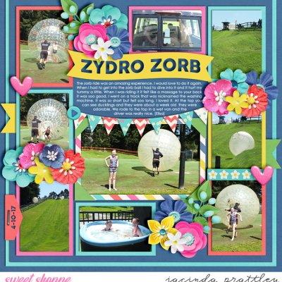 Zydro Zorb