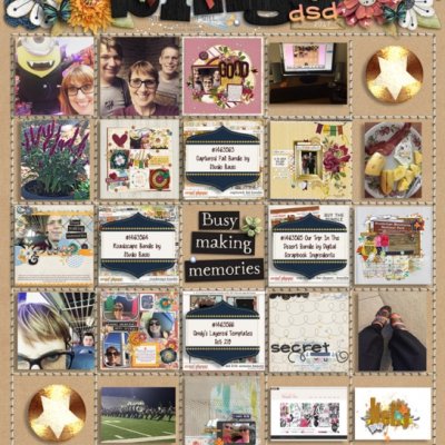 DSD 2017 Bingo Card