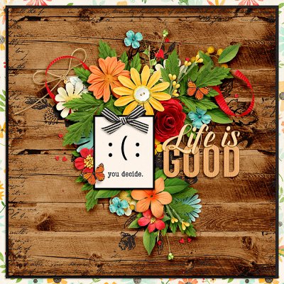 DSD Bingo Challenge #3