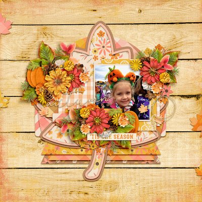 Little Pumpkin
