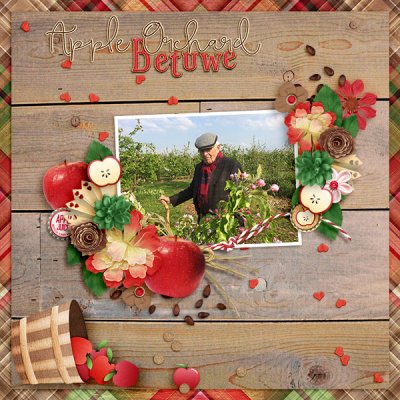 Apple Orchard Betuwe