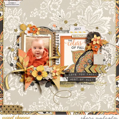 The colors of fall