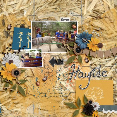 #15 hayrides