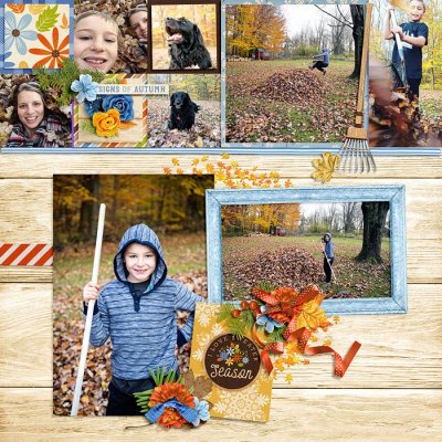 November fall harvest 02