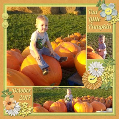 Fall Pumpkins