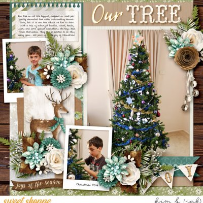 Our Tree