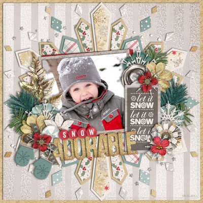 Snow Adorable