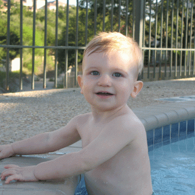 Water Bug Photo