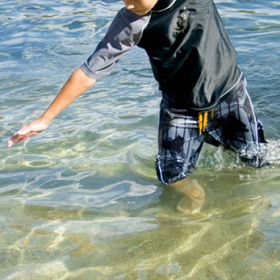 Water Bug
