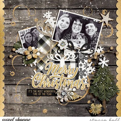 Merry Christmas 2016