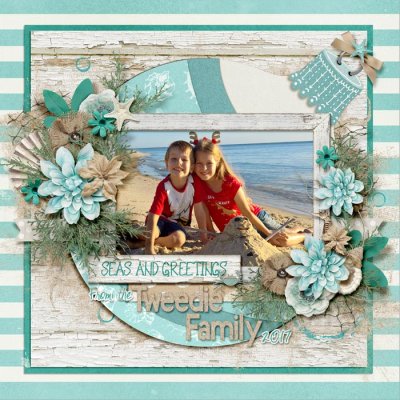 Seas and Greetings - Our Christmas card photo for 2017