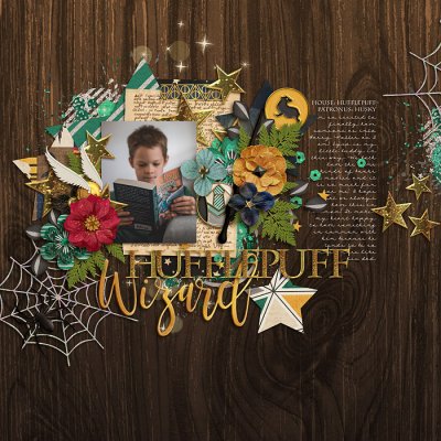 Hufflepuff Wizard