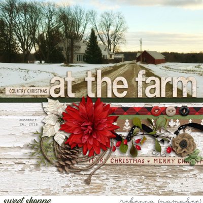 at the farm
