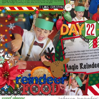 DD 2012 - Day 22 Reindeer Food