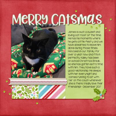 Merry Catsmas