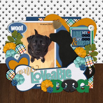 One Lovable Dog