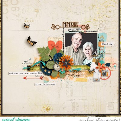 Memories Documented