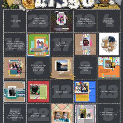 January 2018 Bingo Card