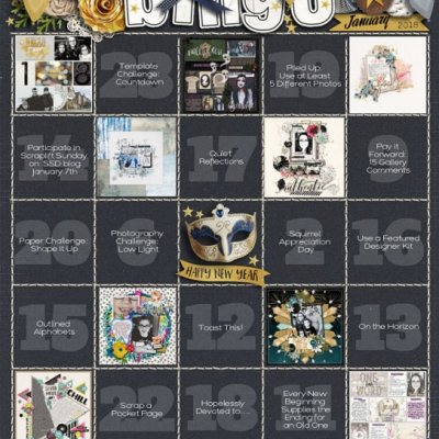 Challenge Bingo Card - January/18