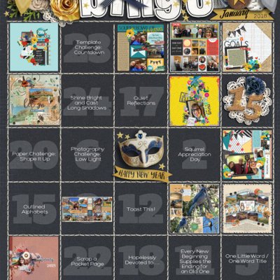 January 2018 Bingo Card