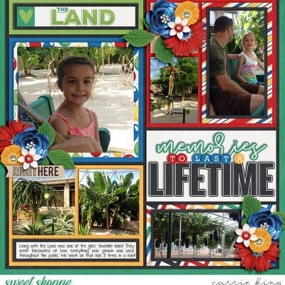 Living with the Land