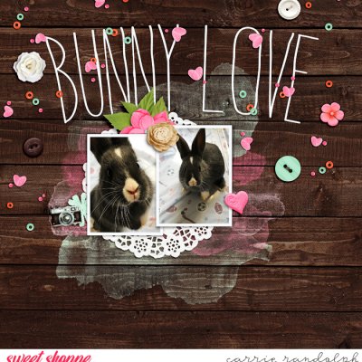 Bunny Love