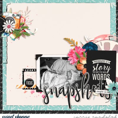 Snapshots