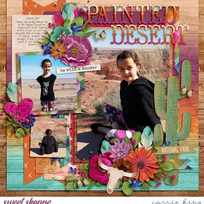 Painted Desert