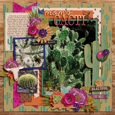 Mom's Cacti
