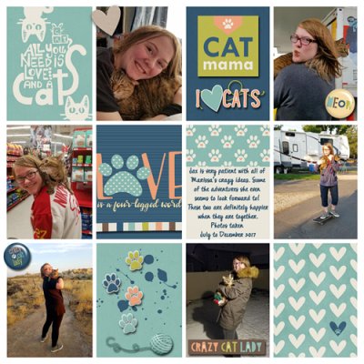 Crazy Cat Lady