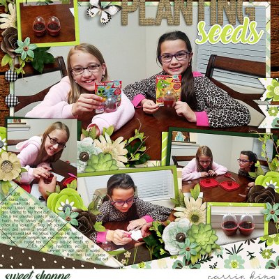 Planting Seeds