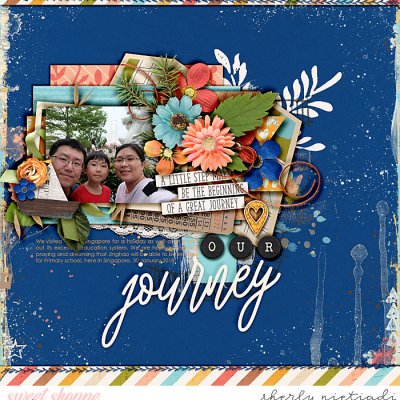 our journey