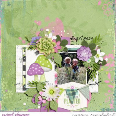 Sweetness