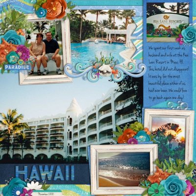 Karen and Paul - Honeymoon at Kea Lani Resort