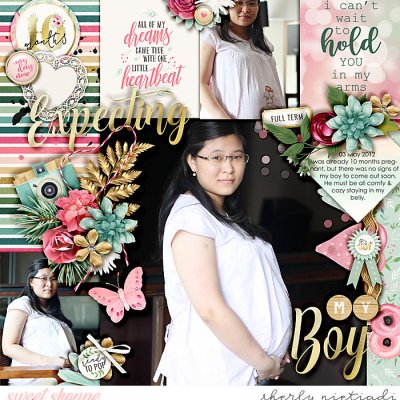 Expecting my boy