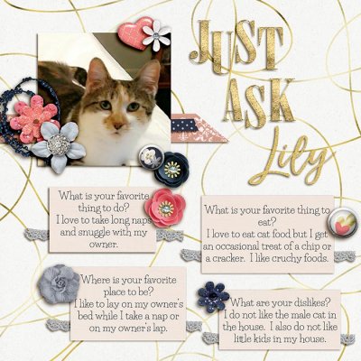 Just Ask Lily