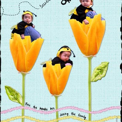 A Bee in the Flowers