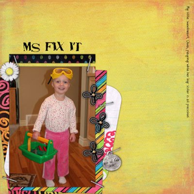 Ms Fix It
