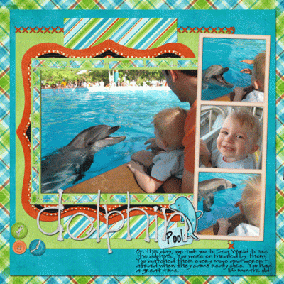 Dolphin Pool